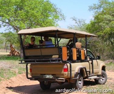 Are You Confused About What To Opt For Kenya Safari? Open or Closed Safari Vehicles!!!
