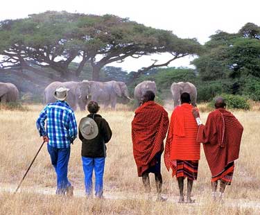 For Senior Citizen How To Plan Hassel Free Kenya Safari Tours?