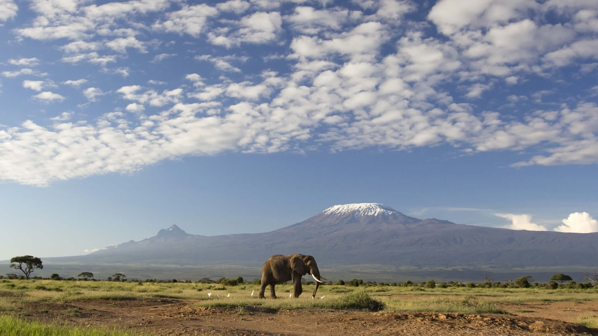 Килиманджаро тур