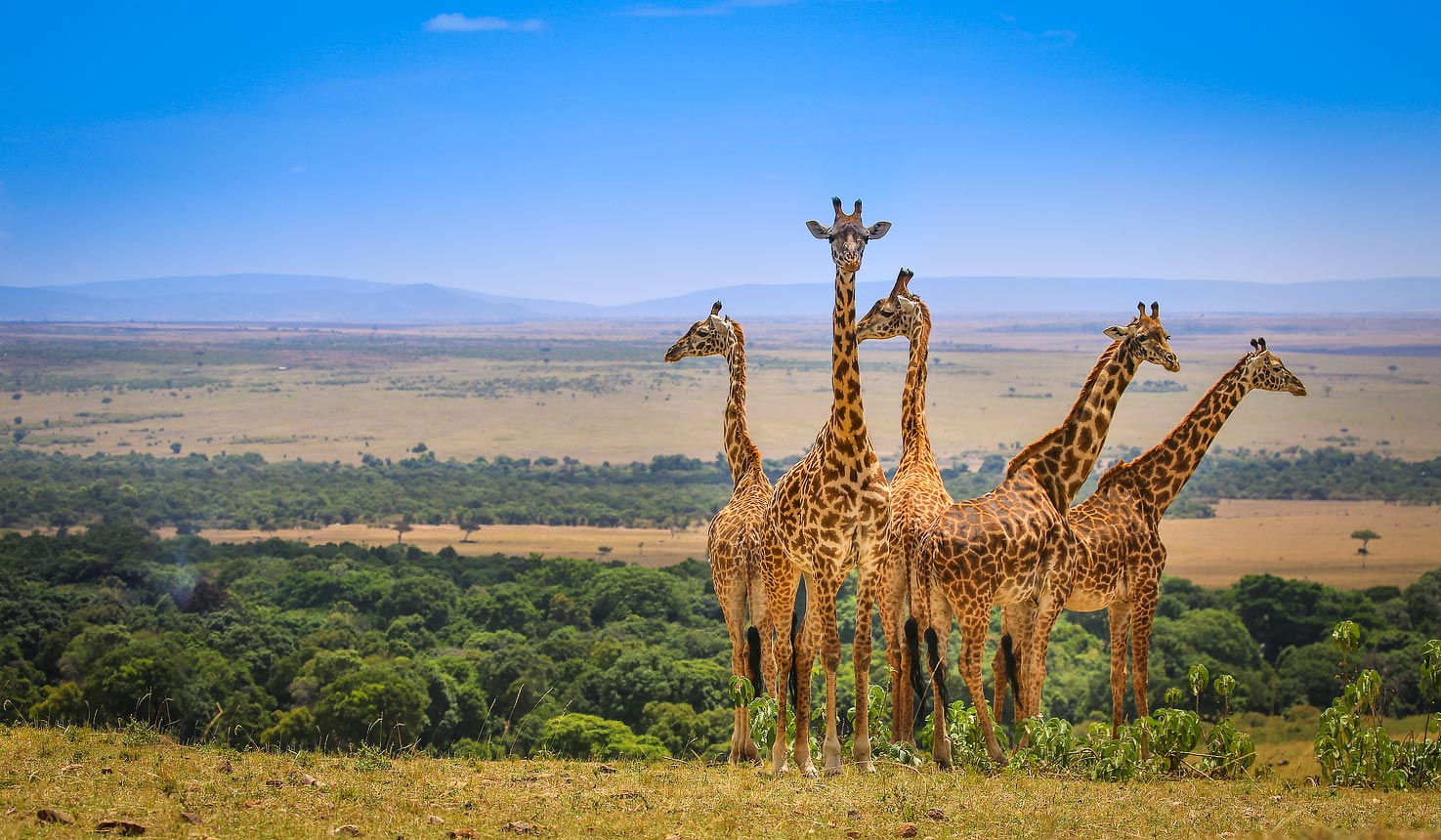 Best Things To Know Before Planning About Masai Mara