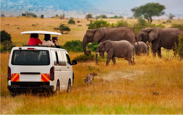 safari kenya low cost