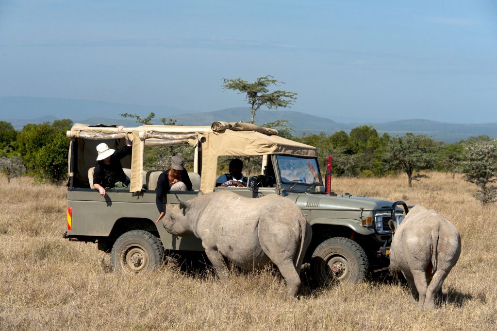 Group Joining Safaris Or Private Safaris