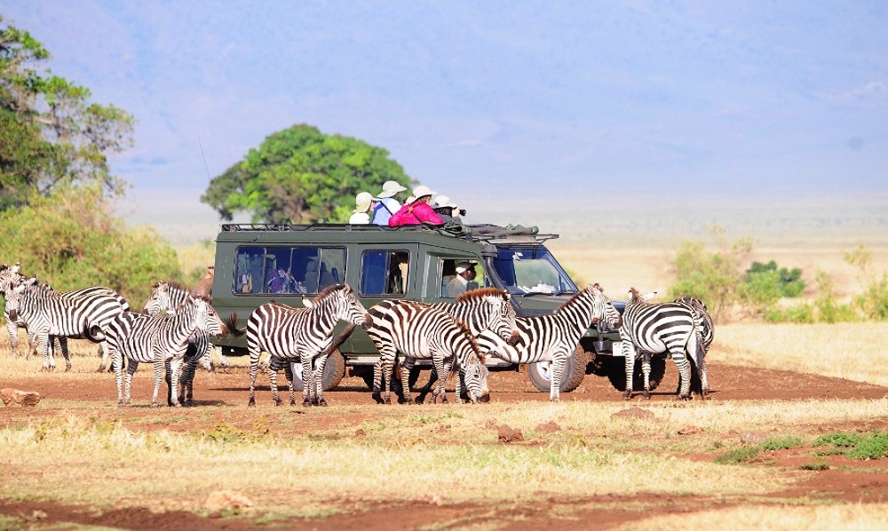 Kenya Group Joining Safari
