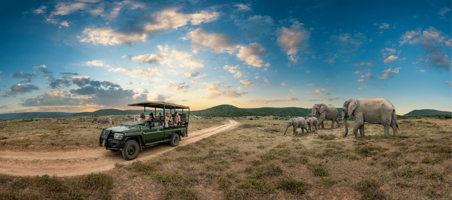 african safari tours