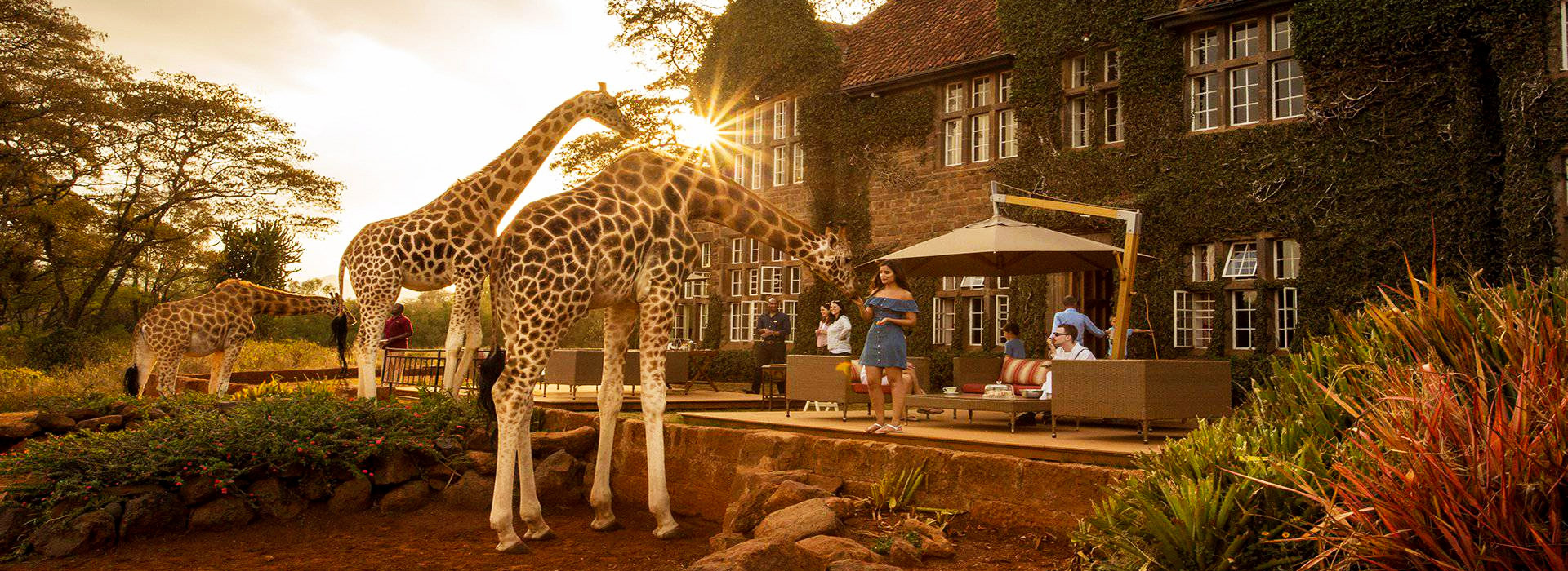 9 Days Samburu & Masai Mara Luxury Safari by flight