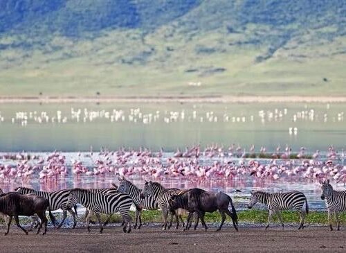 lake manyara