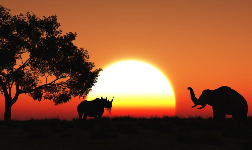 African Safari Holidays: Discover the Beauty, Wildlife and Adventure of Africa