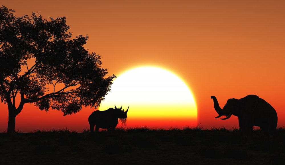 African Safari Holidays: Discover the Beauty, Wildlife and Adventure of Africa